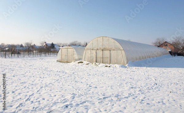 Obraz plastic hothouse in winter garden