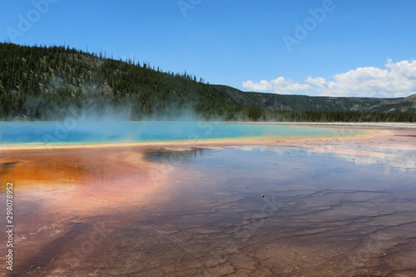 Obraz grand prismatic hot spring in forest
