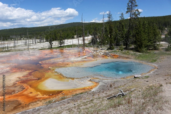 Obraz hot springs yellowstone national park