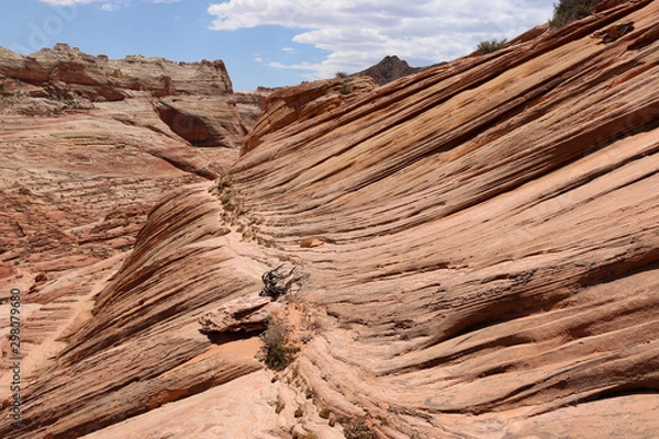 Obraz sandstone in the desert