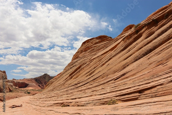 Obraz Sandstone desert