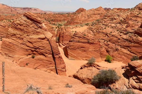 Obraz Desert with Sandstone mountains - Arizona