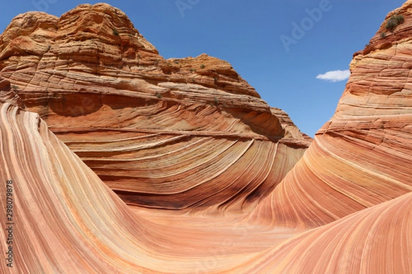 Obraz The Wave Arizona