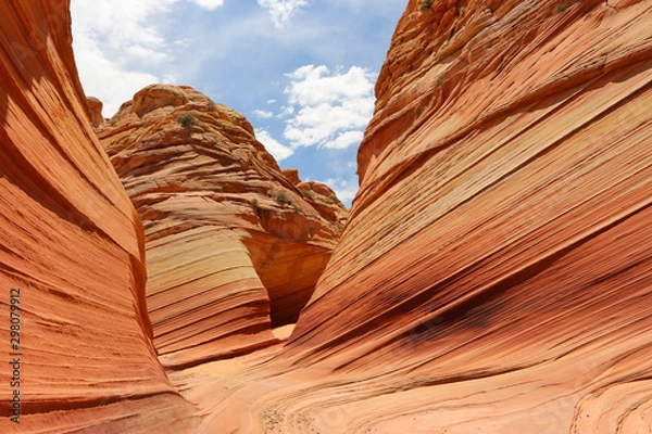 Obraz The Wave Arizona