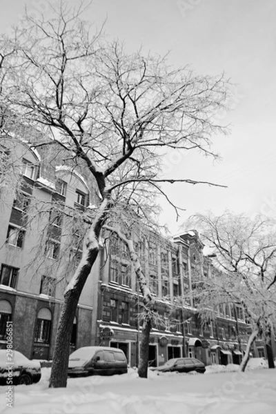 Obraz winter in the city