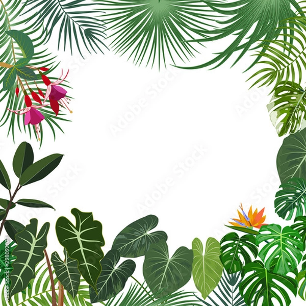 Fototapeta Vector tropical jungle banner, frame with palm trees, flowers and leaves on white background