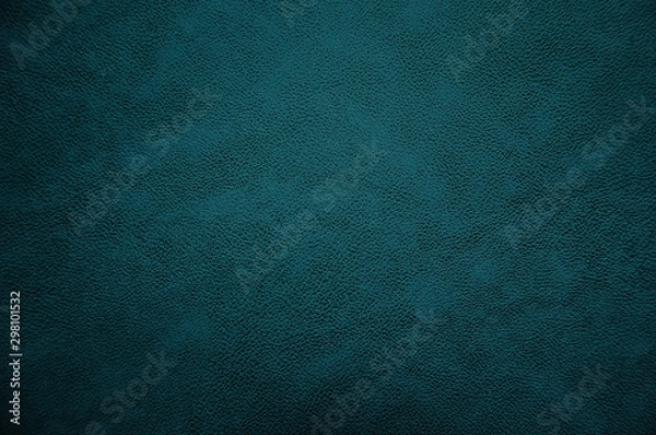 Obraz skin texture 