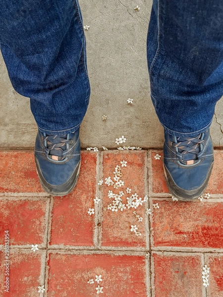 Obraz two blue shoes on a red ground
