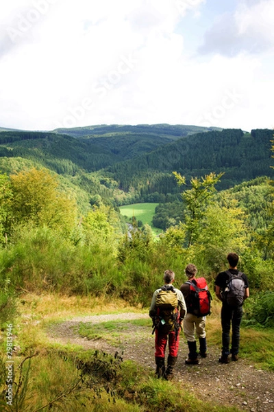 Obraz Ardennes