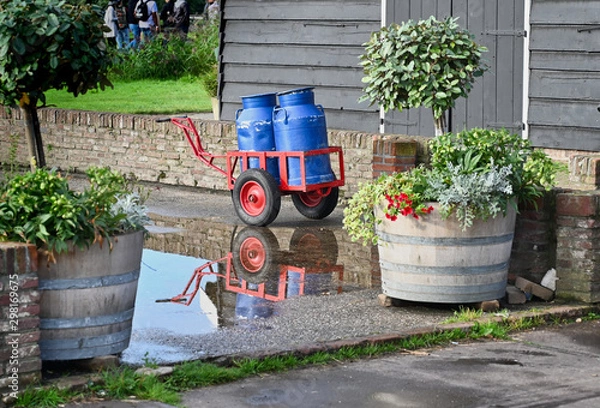 Fototapeta Blue Milk Cans on Red Cart Reflected in Puddle on Patio Between Two Whiskey Barrel Planters
