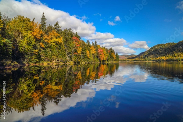 Fototapeta Autumn forest reflected in water.
