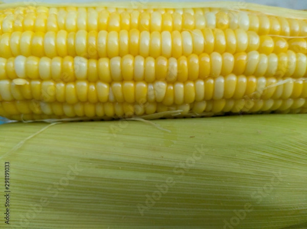 Fototapeta corn on the cob
