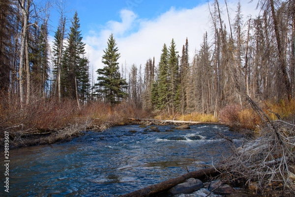 Fototapeta autumn on winding stewart creek 6