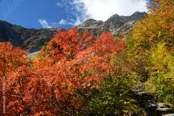 Obraz 涸沢カールの紅葉