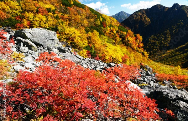 Obraz 涸沢カールの紅葉