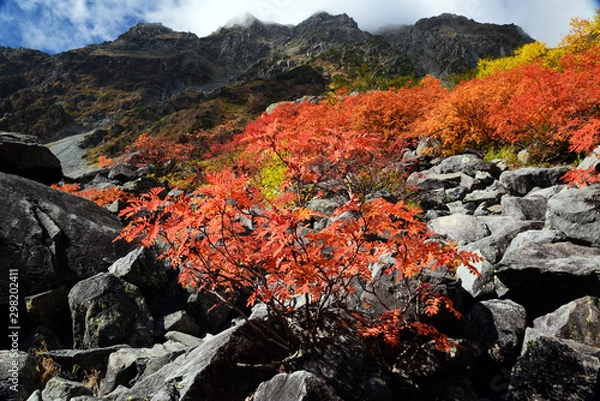 Obraz 涸沢カールの紅葉