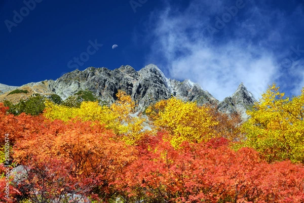 Obraz 涸沢カールの紅葉