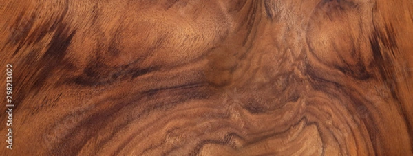 Obraz The background skin material. Beautiful natural wood-1