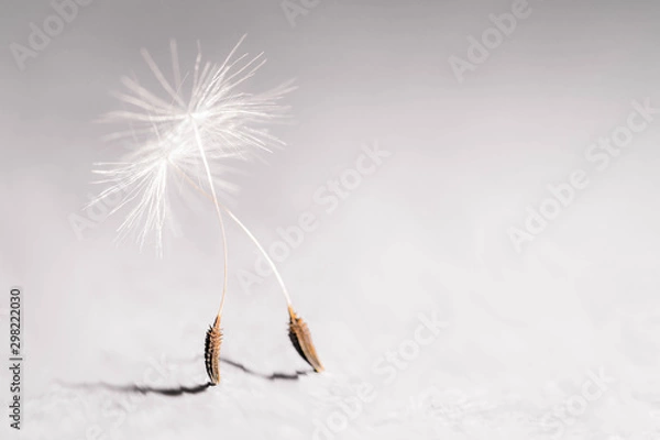 Obraz Kobieca elegancja ...!