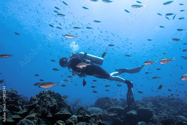 Obraz Nurka otoczona