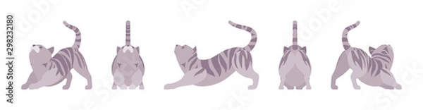 Fototapeta Grey striped Cat stretching. Active healthy kitten with mackerel tabby colored fur, cute funny pet, playful companion. Vector flat style cartoon illustration isolated, white background, different view