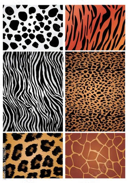 Obraz animal skin