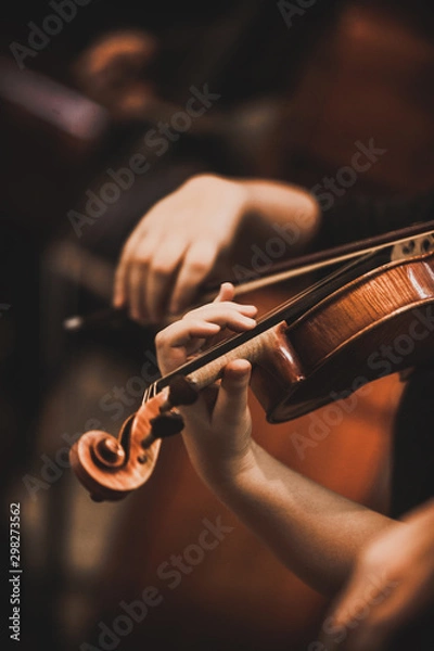 Fototapeta Close-up of part of the symphony masterpiece - Section for strings, violins and cellos