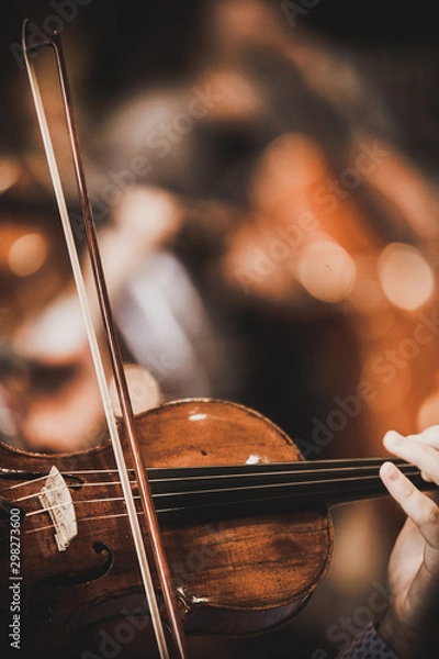 Fototapeta Close-up of part of the symphony masterpiece - Section for strings, violins and cellos