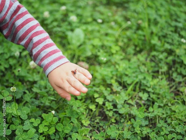Obraz 子供の手から飛び立とうとするてんとう虫