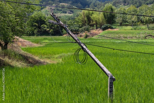 Obraz electric poles