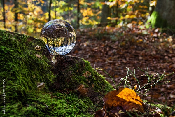 Fototapeta szklana kula w lesie, piękny krajobraz