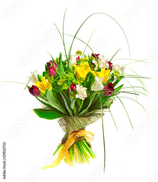 Obraz Piękne tulipany