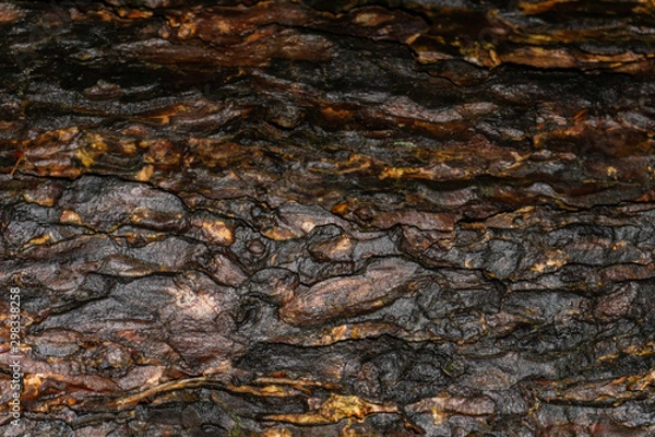 Fototapeta abstract background