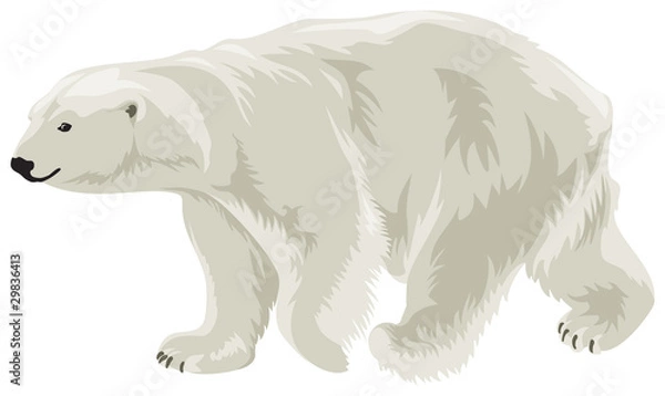 Obraz Niedźwiedź polarny