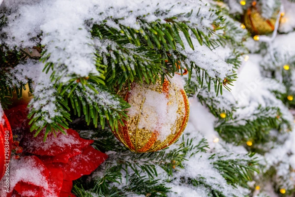 Fototapeta Christmas decorations. A real fir tree covered with snow. Christmas toys balls of red and gold color and a shining garland hang on a branch. Close-up. Macro. Xmas