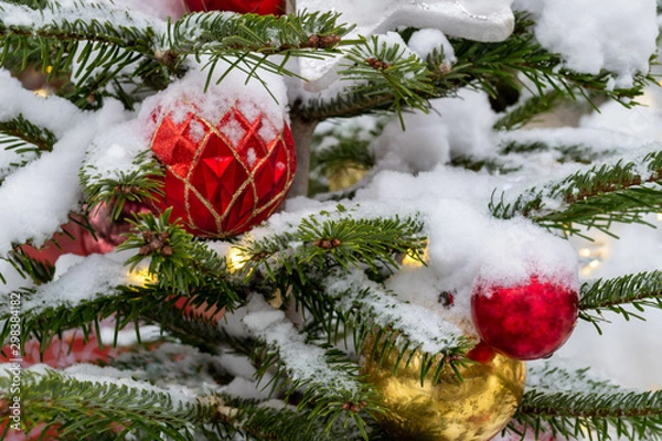 Fototapeta Christmas decorations. A real fir tree covered with snow. Christmas toys balls of red and gold color and a shining garland hang on a branch. Close-up. Macro. Xmas