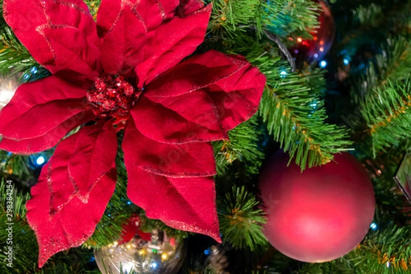 Fototapeta Christmas decorations. A red flower hangs on a branch. Macro. The garland is shining. Close-up.