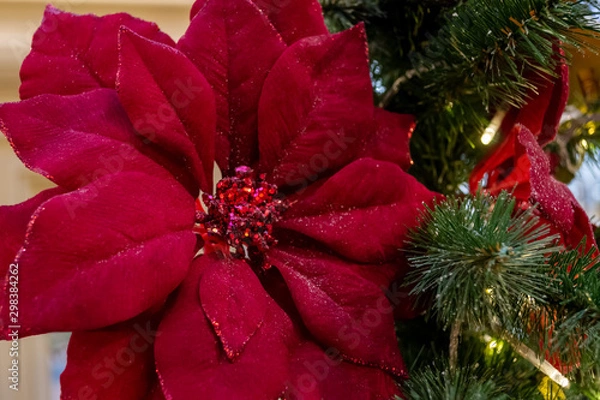 Fototapeta Christmas decorations. A red flower hangs on a branch. Macro. The garland is shining. Close-up.