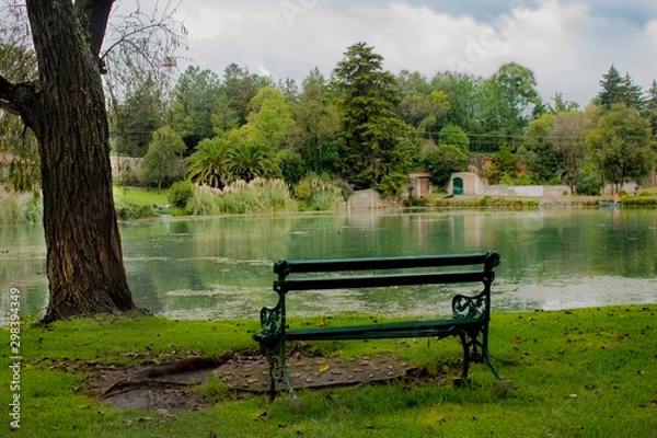 Obraz Tranquilidad en el lago