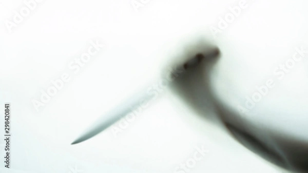 Obraz Blurred shadow of hand holding big sharp knife on white background.Robber,murderer or killer with knife.concept of scary crime scene of horror or thriller movies,Halloween theme