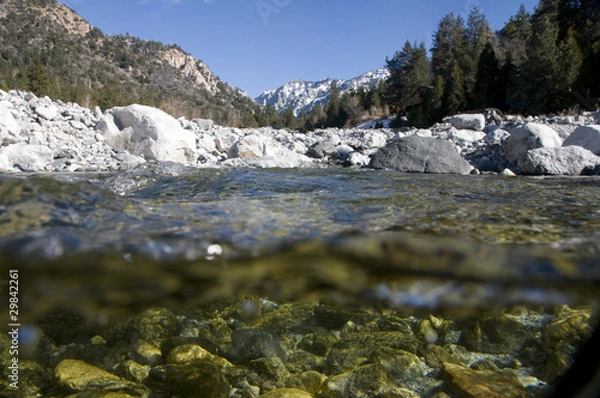 Obraz creek underwater