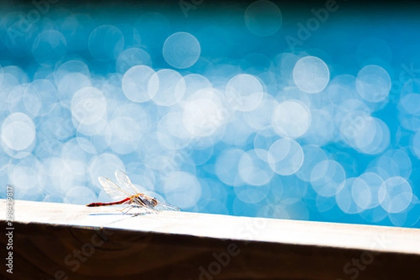 Obraz 初秋の四尾連湖