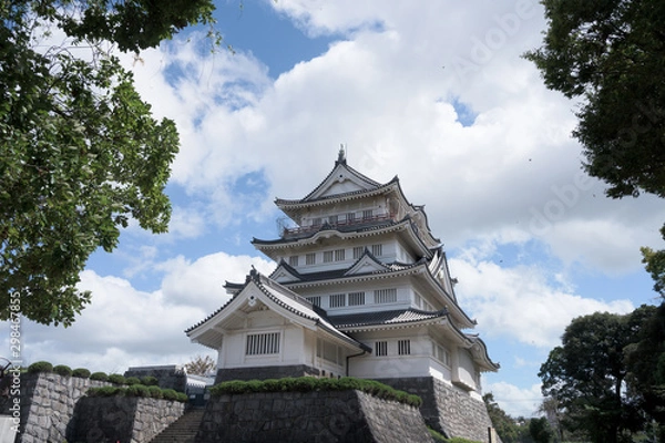 Fototapeta 青空と城