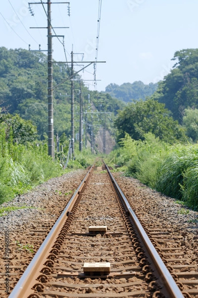 Fototapeta まっすぐ続く線路（縦）
