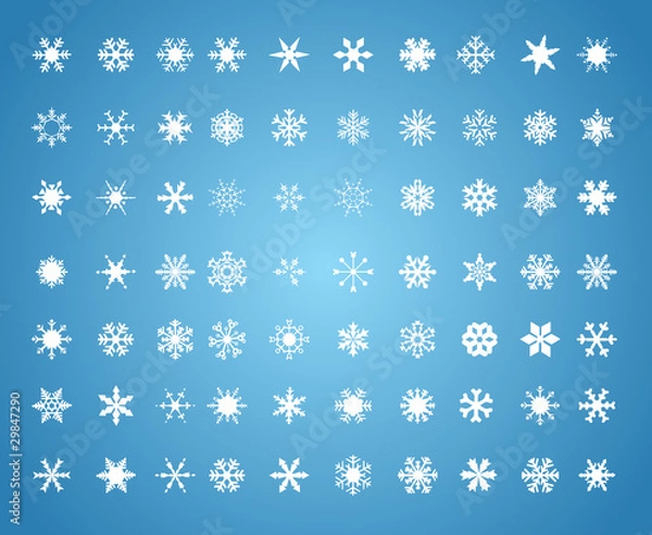 Obraz white snowflakes