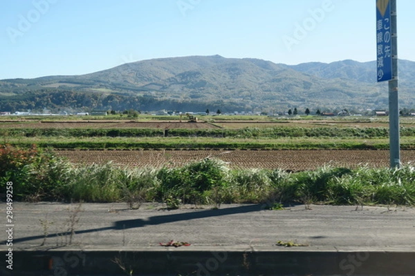 Fototapeta 秋の日本国北海道の田舎の畑
