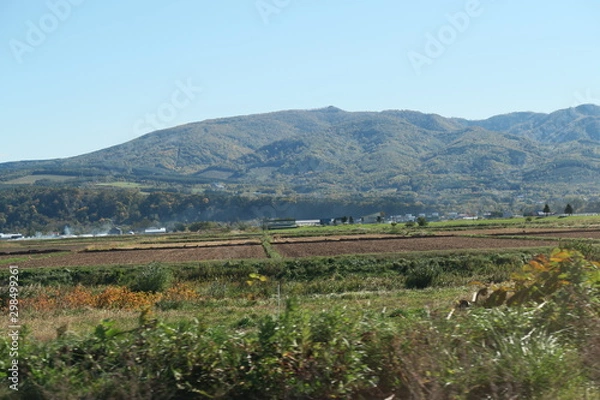 Fototapeta 秋の日本国北海道の田舎の畑