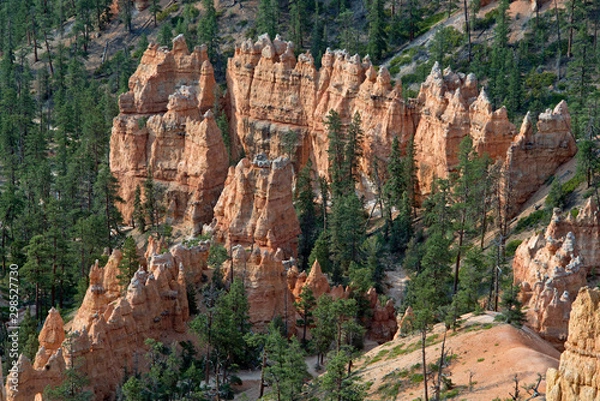 Fototapeta Rocks and trees mixed in Bryce Canyon