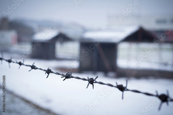 Obraz barbed wire closeup with detention camp in background