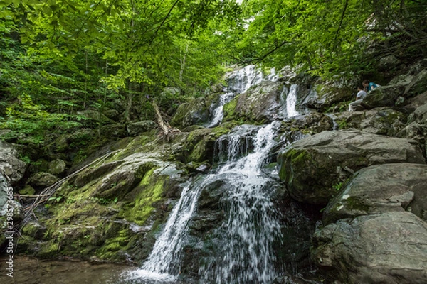 Obraz シェナンドー国立公園